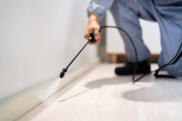 Licensed Pest Control service in Shattuck, OK - Show Me Pest Control