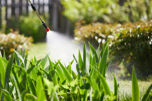 Tamper-Resistant Bait Stations for Rodents in Shattuck