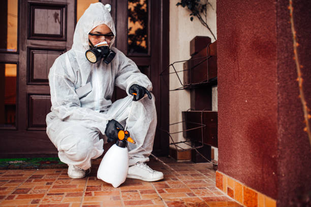 Attic and Crawl Space Rodent Treatment in Shattuck